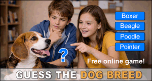 Dog Breed Guessing Game