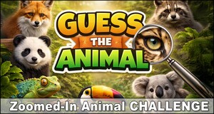 Guess the Animal