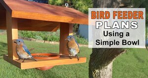 Bird Feeder Plans Using a Bowl