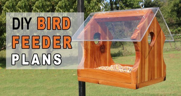 DIY Bird Feeder Plans (Simple Homemade Feeder)
