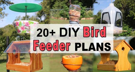 Homemade Bird Feeder Plans - including recycled milk cartoons, toilet paper rolls, pine cones, suet feeders, platform, and hanging feeders.
