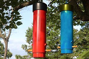 DIY PVC plastic pipe homemade bird feeder plans.