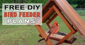 DIY Platform Bird Feeder