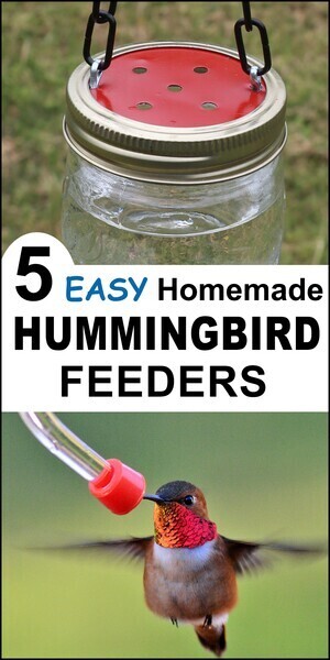Homemade hummingbird feeder, DIY, handmade, nectar, drip resistant feeder, recycle, birds, easy, hole size, red, mason jar, wine bottle, plastic container, red lid, spice container.