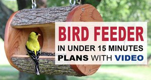 Homemade Bird Feeder Plans