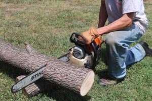 DIY Bird Feeder Plans (Homemade Log Birdfeeder) – Patterns ...