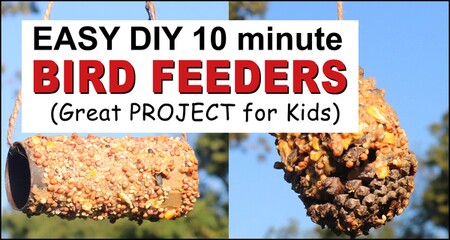Peanut butter bird feeder, diy, homemade, handmade, easy birdfeeder, recycle toilet paper roll, pine cone, kid project.