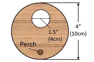 Dimensions for front of bluebird house.