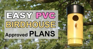 PVC Bird House Design Plans