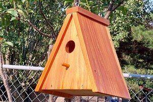 Finished A-Frame bird house plans.