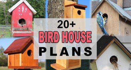 Bird House Plans (20+ Free, Beginner Birdhouse Designs)