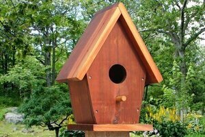 Free birdhouse plans, DIY homemade wooden nesting box, handmade birdhouse bluebirds, chickadees, sparrows, swallows, warblers, woodpeckers, wrens, backyard, garden.