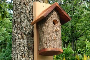 hanging birdhouse plans