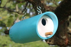 Bird Box Plans (Approved diy PVC Birdhouse Design)