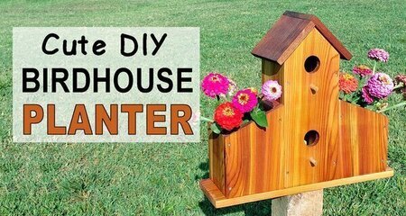 Bird house planter plans, cute, nesting box, flowers, plants, free, homemade instructions, directions, measurements, wooden bird box for bluebirds, wrens, chickadees, nuthatches, woodpeckers, house finches.