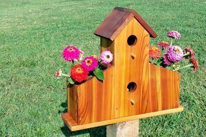 Bird house planter plans, with flowers.