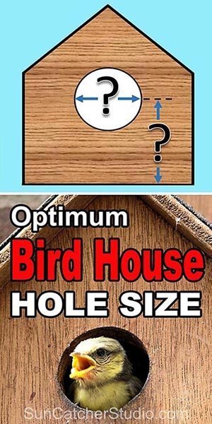 Birdhouse Hole Diameter Chart