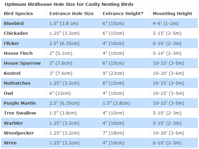 Birdhouse Hole Size Chart