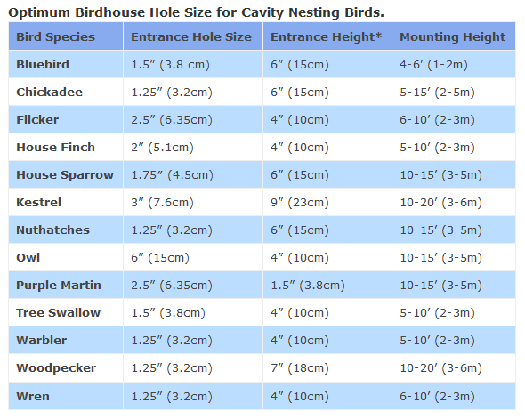 smallbirds size chart