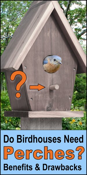 Birdhouse perch.  Do birdhouses need perches.  Advantages, disadvantages, length, placement of a perch, bird house porch.