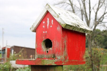 Birdhouse flat porch.