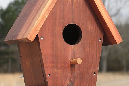 Birdhouse round perch wooden dowel.