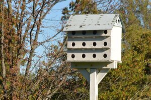 Bird house on top of pole.