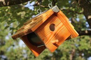 DIY wooden bird box mounted from a tree.