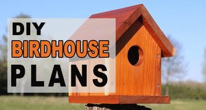 Bird House Plans and Bird Feeder Plans (FREE DIY Ideas)