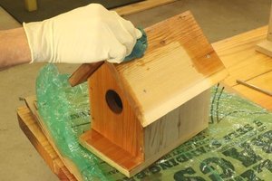Paint or apply a finish to your birdhouse.