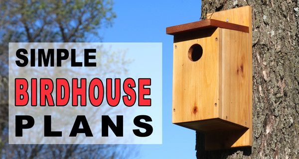 Birdhouse Plans 7 Simple Steps With, Easy Bluebird House Plans