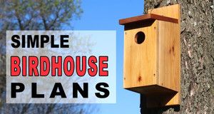 Simple Bird House Plans