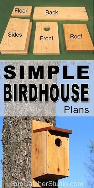 wooden bird box plans