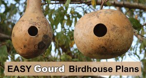 Gourd Birdhouse