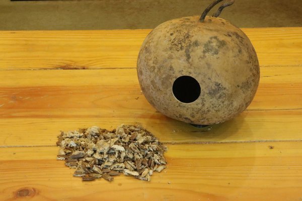 Remove seeds from gourd birdhouse.