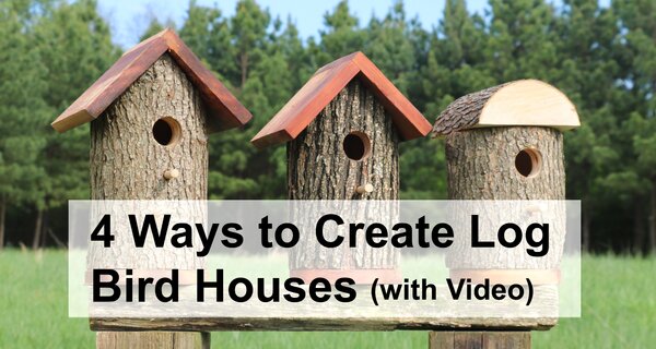 Homemade Bird Houses from a Natural Log (DIY Nesting Bird Box)