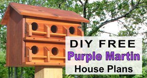 Purple Martin House Plans