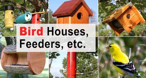 Bird Houses, Feeders & More