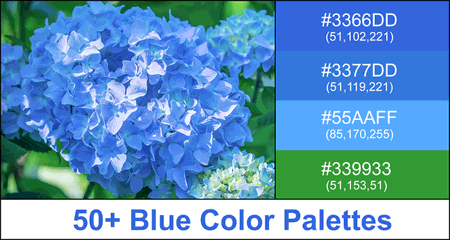 Blue Color Palette (Combinations, Schemes & Ideas)