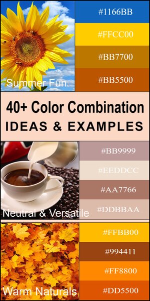 Color combinations, color palettes, color schemes, DIY, eye-catching, trendy, best, popular, complementary, stylish, modern, creative, inspire, design.