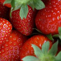 Bold Berries, strawberries.