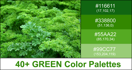 Green Color Palette (Combinations, Schemes & Ideas)