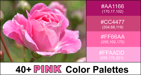Pink Color Palette (Combinations, Schemes & Ideas)