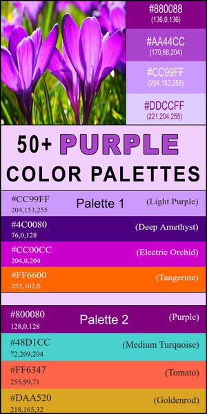 Purple color palettes, purple color combinations, color palettes, color schemes, DIY, eye-catching, trendy, best, popular, red, blue, complementary, stylish, modern, creative, inspire, design.