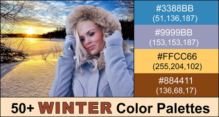 Winter Color Palette (Deep, Cool, Dark Seasonal Colors)