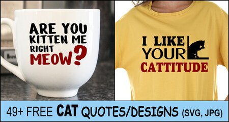 Cat Quotes & Sayings (Free Cricut Designs, Clipart & SVG Files)