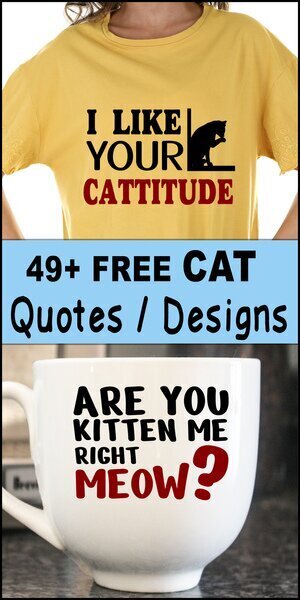 cat quotes, cat sayings, Cricut designs, free, clip art, DIY, svg files, templates, patterns, stencils, silhouette, cut files, design space, vector, shirts, cups, crafts, projects, embroidery.