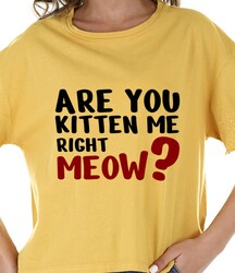 Are you kitten me right meow. cat quotes, cat sayings, Cricut designs, free, clip art, svg file, template, pattern, stencil, silhouette, cut file, design space, vector, shirt, cup, DIY crafts and projects, embroidery.
