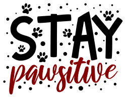Stay pawsitive. cat quotes, cat sayings, Cricut designs, free, clip art, svg file, template, pattern, stencil, silhouette, cut file, design space, vector, shirt, cup, DIY crafts and projects, embroidery.