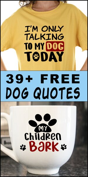 dog quotes, dog sayings, Cricut designs, free, clip art, DIY, svg files, templates, patterns, stencils, silhouette, cut files, design space, vector, shirts, cups, crafts, projects, embroidery.